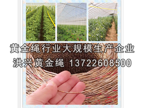 壓膜繩安裝大棚卷簾機(jī)前需做的準(zhǔn)備